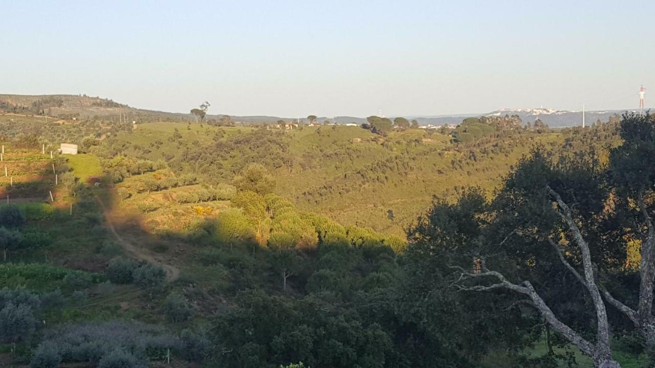 Quinta Do Caneiro - Casa Turismo Rural Constância Εξωτερικό φωτογραφία