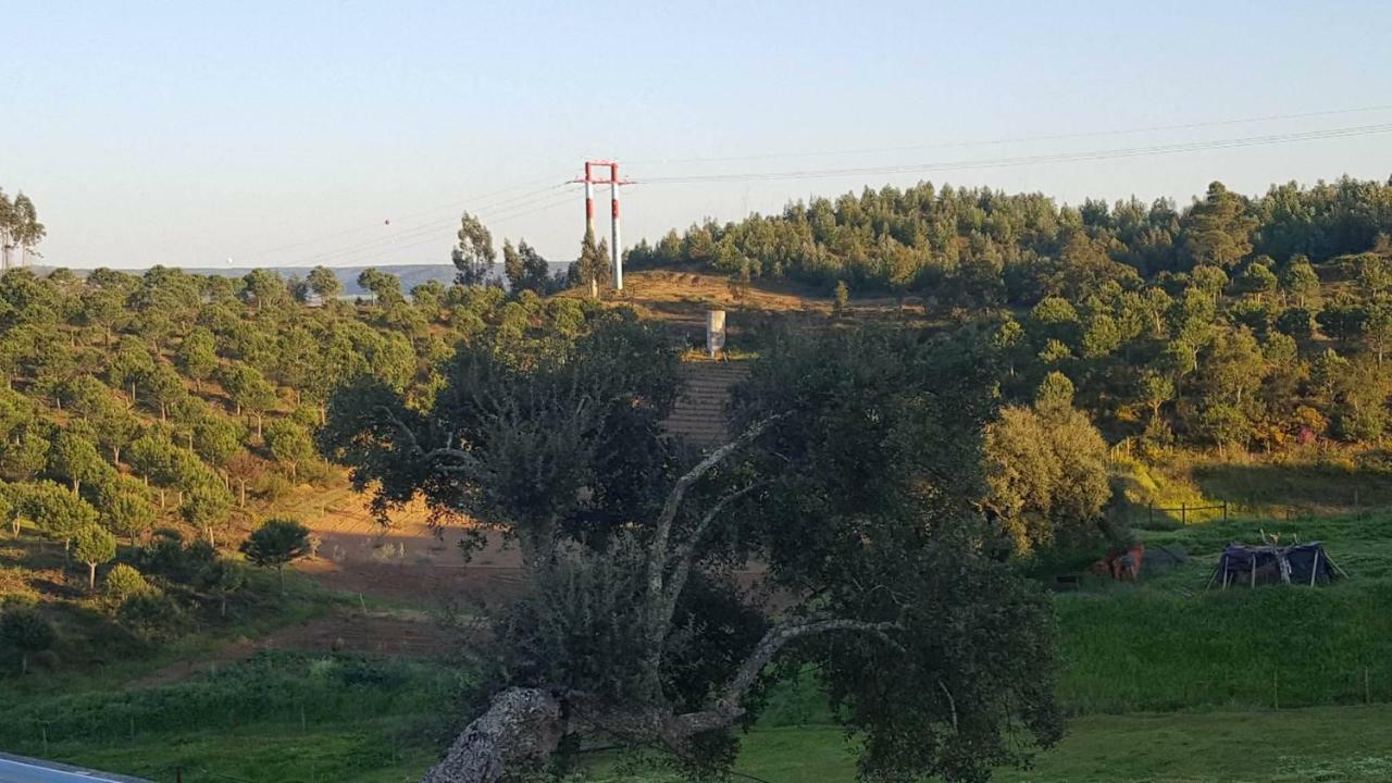 Quinta Do Caneiro - Casa Turismo Rural Constância Εξωτερικό φωτογραφία